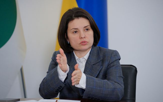 Схеми бізнесу через ФОПи мають масштабний характер: інтерв&rsquo;ю з Лесею Карнаух, ДПС