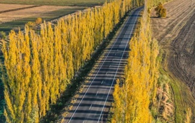 У Миколаївській області повністю відремонтували трасу до Очакова