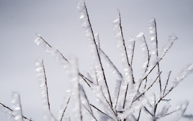 Вночі в Сумській області очікуються заморозки