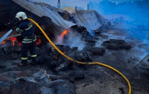 Під Києвом сталася пожежа у притулку для тварин, загинули собаки