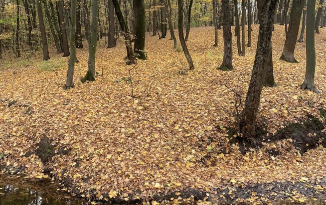 Синоптик дала прогноз на сегодня и назвала самый теплый день недели