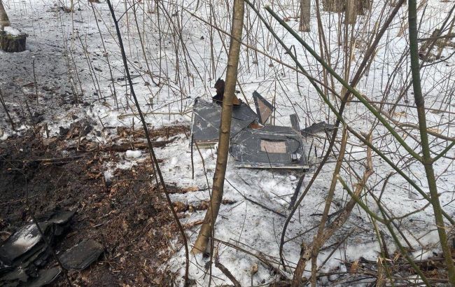 Силы обороны сбили "шахед" в Сумской области (фото)