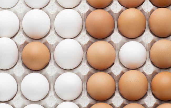Давление на агрохолдинг "Авангард" приводит к росту цен на яйца в Украине, - эксперт