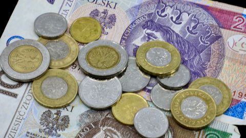 Нацбанк зафиксировал падение злотого к гривне