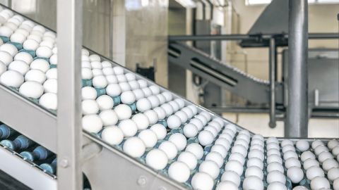 Птахофабрика &laquo;Авіс&raquo; увійшла в ТОП-50 найбільш інноваційних підприємств в агросекторі України