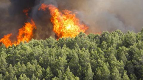 В Італії горять ліси. З'явились перші жертви