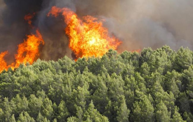 В Італії горять ліси. З'явились перші жертви