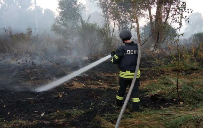Пожар в Луганской области: ликвидированы два очага огня