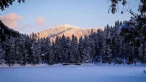 В Карпатах замерзло знаменитое озеро Синевир: можно пройти вдоль и поперек (фото)