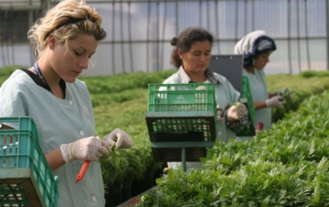 Британія дозволить мігрантам із ЄС залишитися у країні попри Brexit