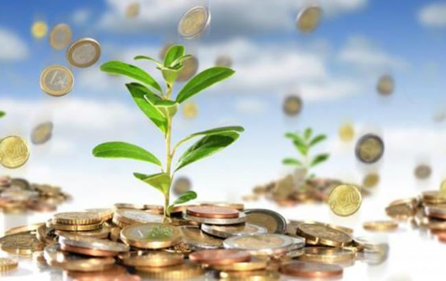 Іноземні інвестиції в Україну в 2016 році зросли на 5% 