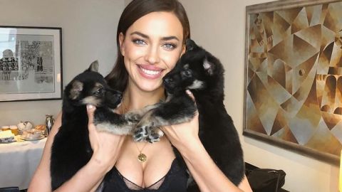 Без нічого: розкішна Ірина Шейк демонструє улюблені літні речі