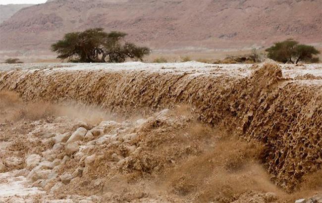 В результате наводнения в Израиле 7 детей находятся в критическом состоянии