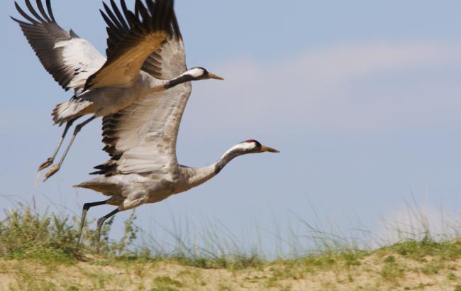 Гороскоп на сегодня, 17 октября
