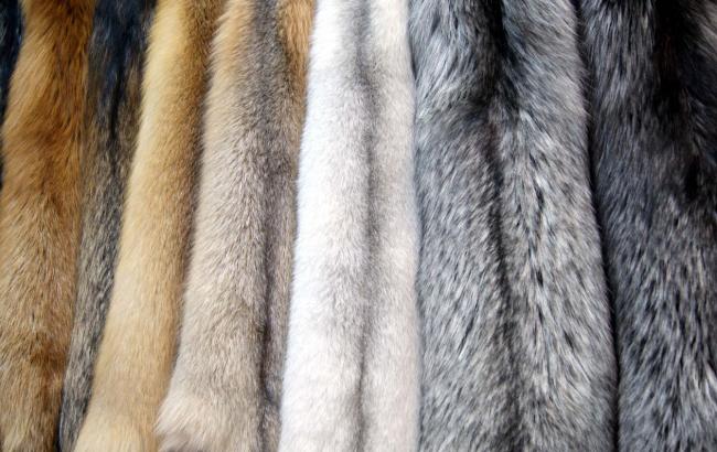 Хутро Blackglama - ваш вишукування на ваших плечах