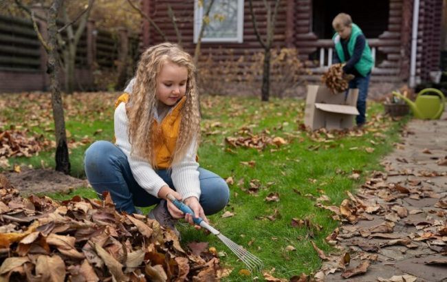 5 важных дел, которые стоит сделать на огороде и в саду в ноябре