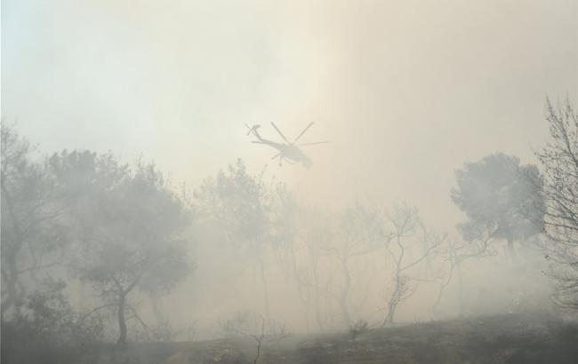 Пожежа у Греції: число жертв збільшилось до 60 людей