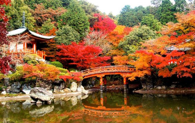 Кіото став кращим турнапрямком 2015 р