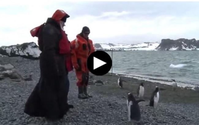 Патриарх Кирилл пообщался с пингвинами в Антарктиде