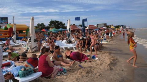 Курорт Кирилівка знову атакують медузи: у мережу потрапило відео