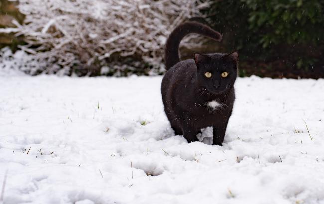 Синоптик рассказала о погоде на выходные 17-18 марта