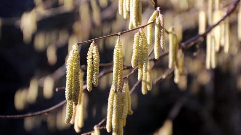 Коли чекати потепління: синоптик дала прогноз на вихідні