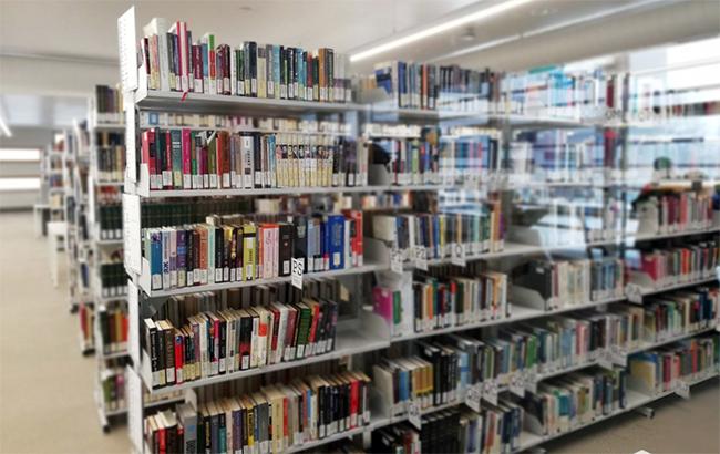 В школах оккупированного Луганска боевики выбрасывают украинские книги