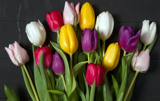 Какой сегодня праздник: календарь на 1 марта в Украине и мире, памятные даты