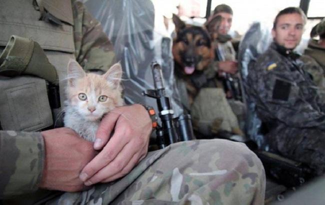 В Днепре открылась трогательная выставка посвященная животным в зоне АТО