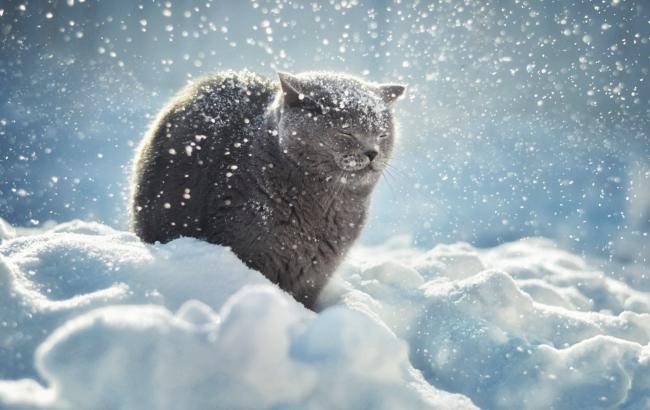 Тепла не будет до весны: синоптик спрогнозировал лютую зиму