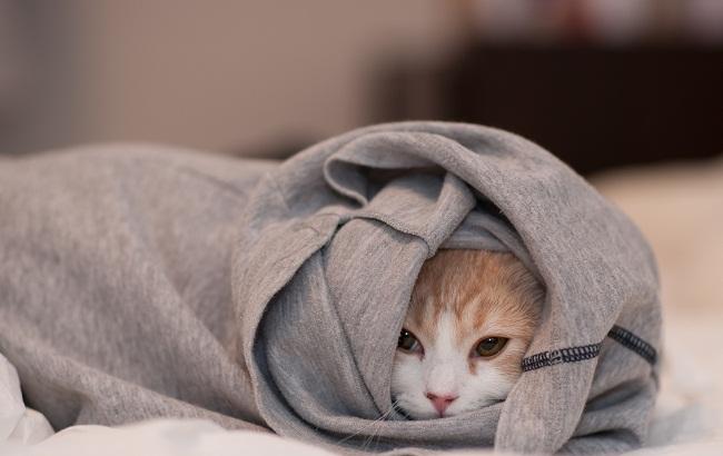 Синоптик предупредила украинцев о резком похолодании