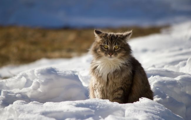 Погода на сьогодні: в Україні без опадів, температура до +1