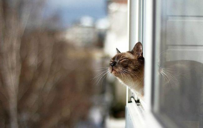 Погода на сегодня: в Украине преимущественно без осадков, температура до +12