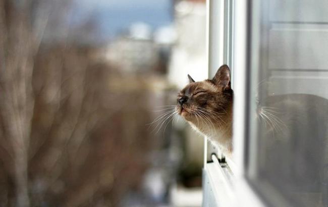 Погода на сегодня: в Украине без осадков, температура до +19