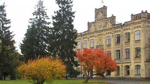 В Киеве возмущены уничтожением 100-летних елей в парке КПИ