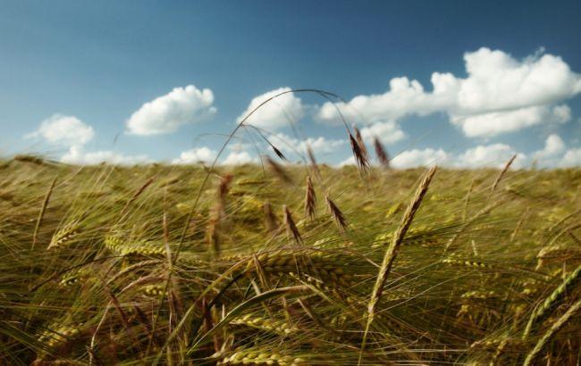 МинАП продолжает проводить конкурсы на должности директоров ГП