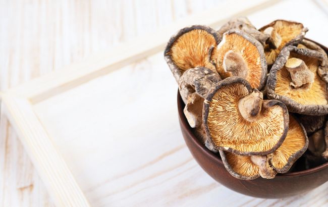 Не на нитке и не в духовке. Лучший способ сушить грибы