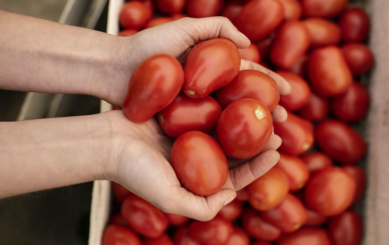 Чому не треба купувати помідори взимку?
