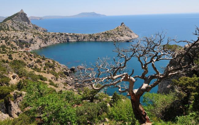 У Криму розпочалися льотно-тактичні навчання