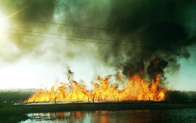 В Киевской области произошел пожар на свалке