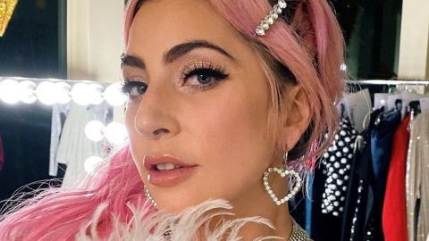 Леди Гага в полуголом наряде и на коленях у любимого оригинально подтвердила новый роман