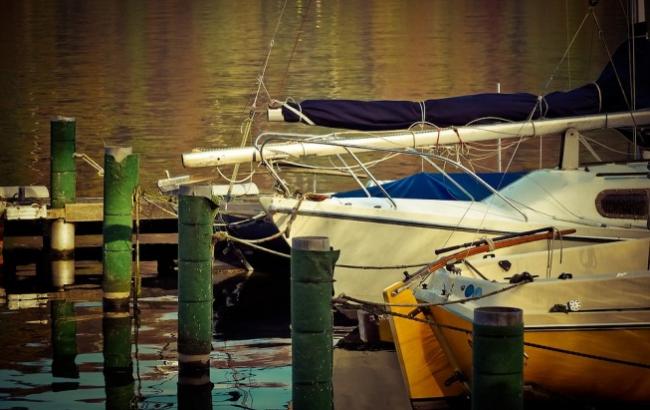 В Ренийском порту утонул моряк из Сирии, который спасал щенков