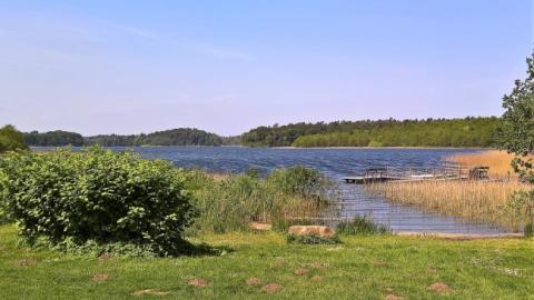 "Практично без опадів": синоптики дали прогноз погоди на тиждень