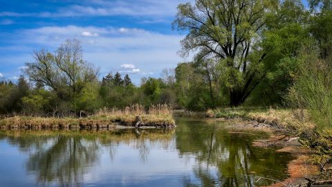 Каскади озер та весняні пейзажі: найкращі локації для пікніку поруч із Києвом