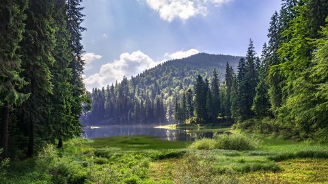 "Справжні відкриття": найцікавіші куточки України, де варто побувати кожному