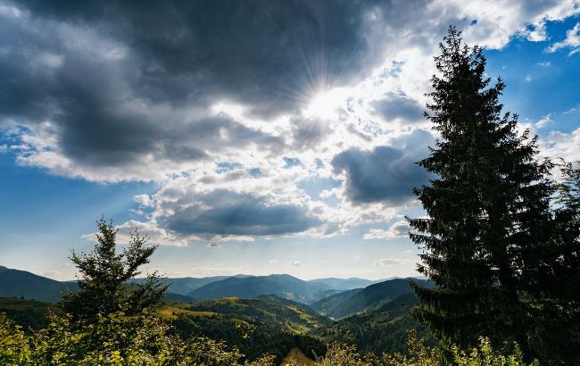На Закарпатье археологи обнаружили кельтское украшение из золота: фото находки