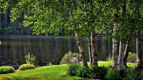 15 июля: праздники и важные события на этот день