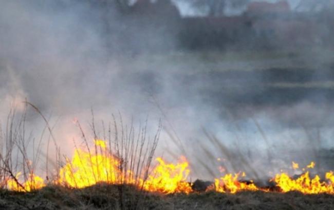 В ГСЧС назвали поджог вероятной причиной пожара под Чернобылем