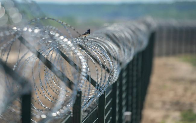 Латвия установила на границе с Россией забор длинной в 23 км