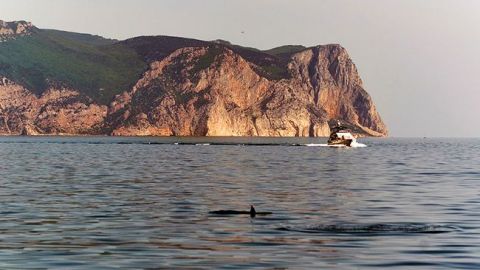 В Крыму приостановлены поиски пассажира затонувшего катера